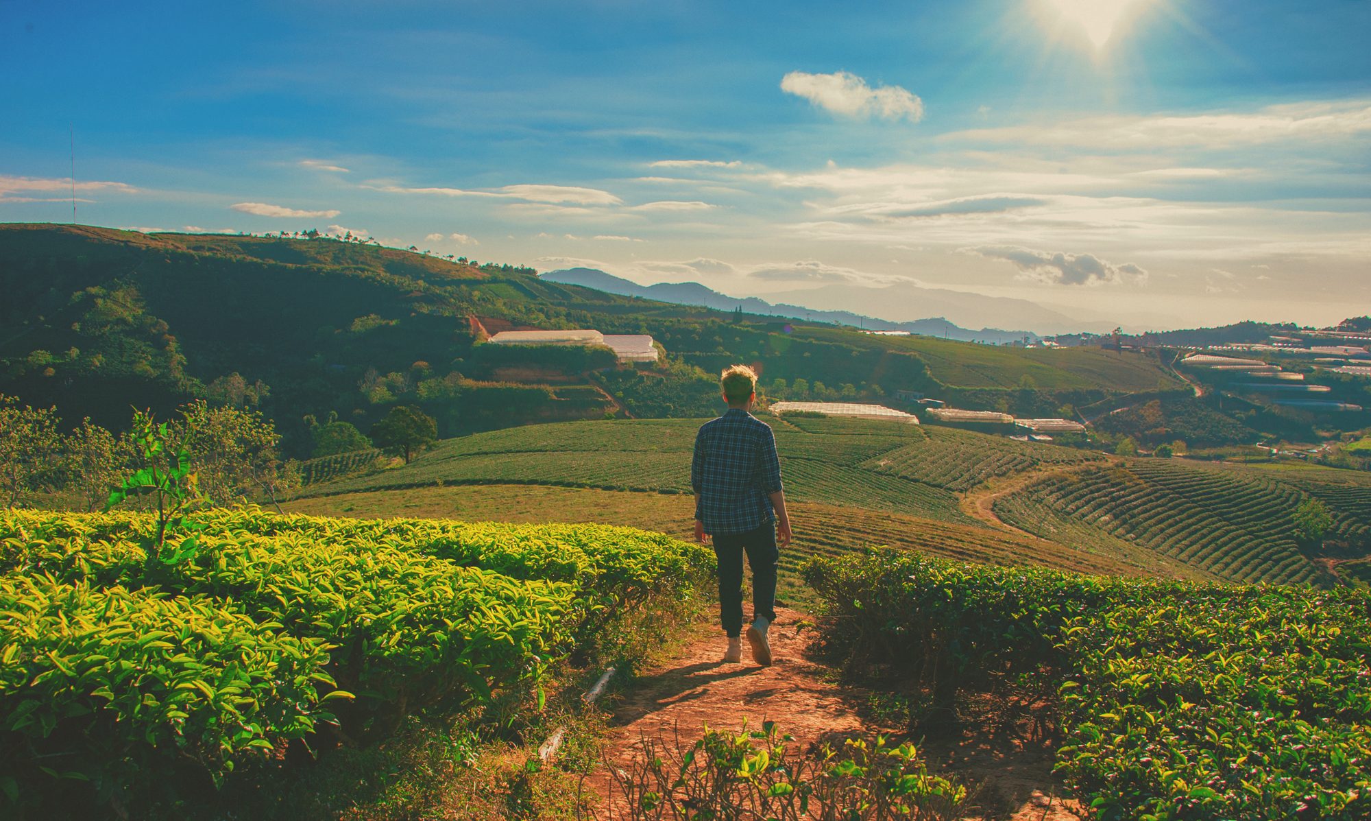 A lone figure walking a path through green rolling farmland at golden hour