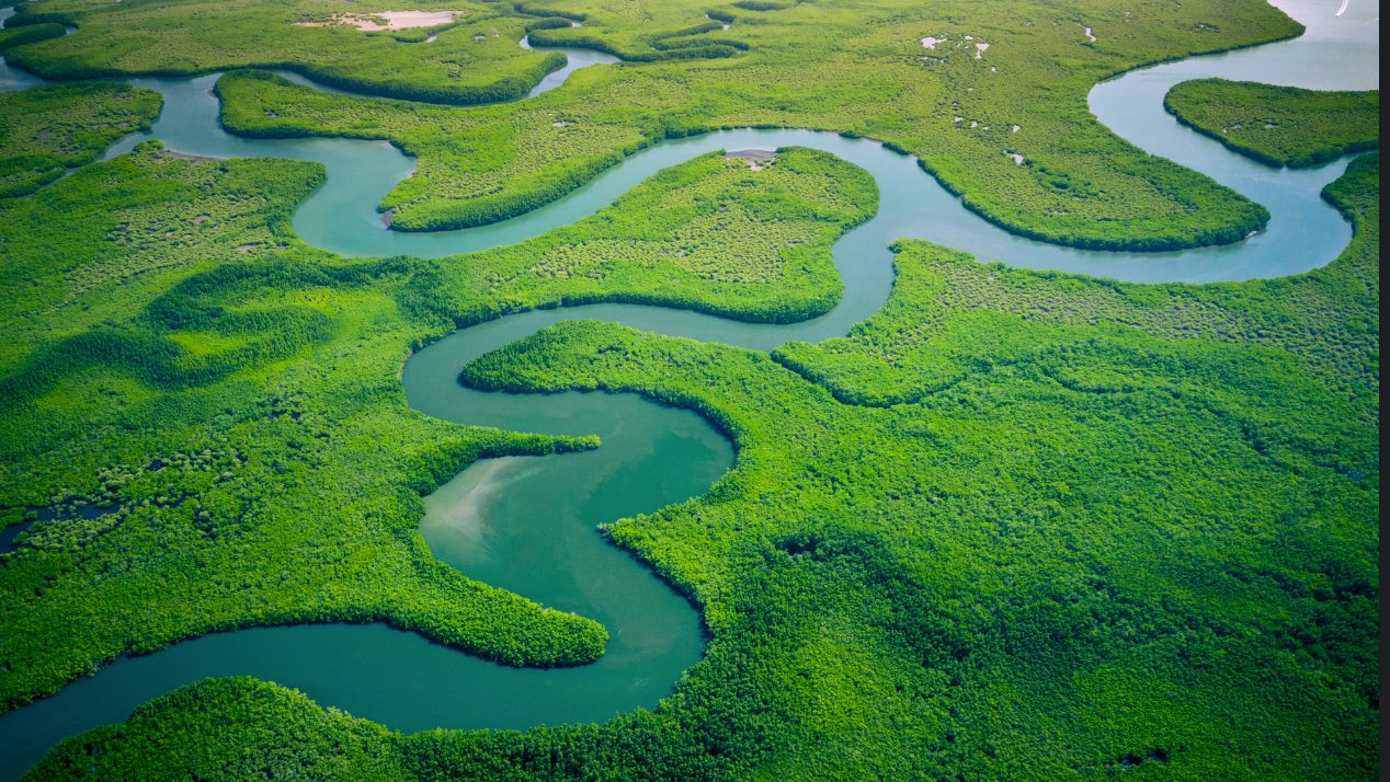 Aerial view of a winding river delta threading through green land